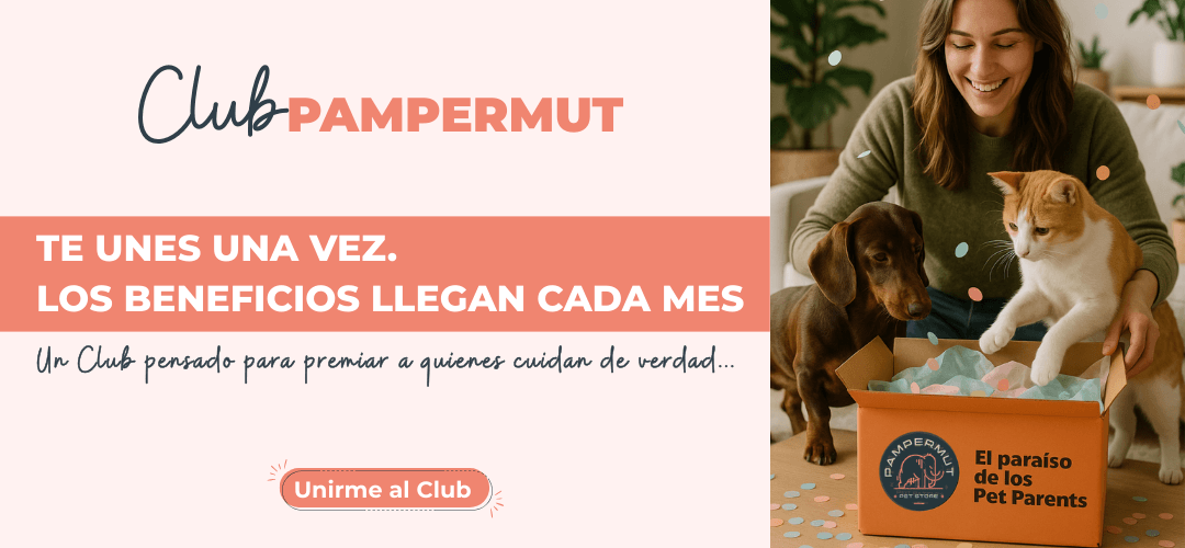 Club Pampermut | Sistema Fidelizaci&oacute;n 2